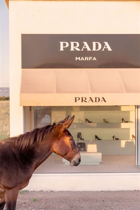 prada marfa vertical|Mule Vertical, Prada Marfa.